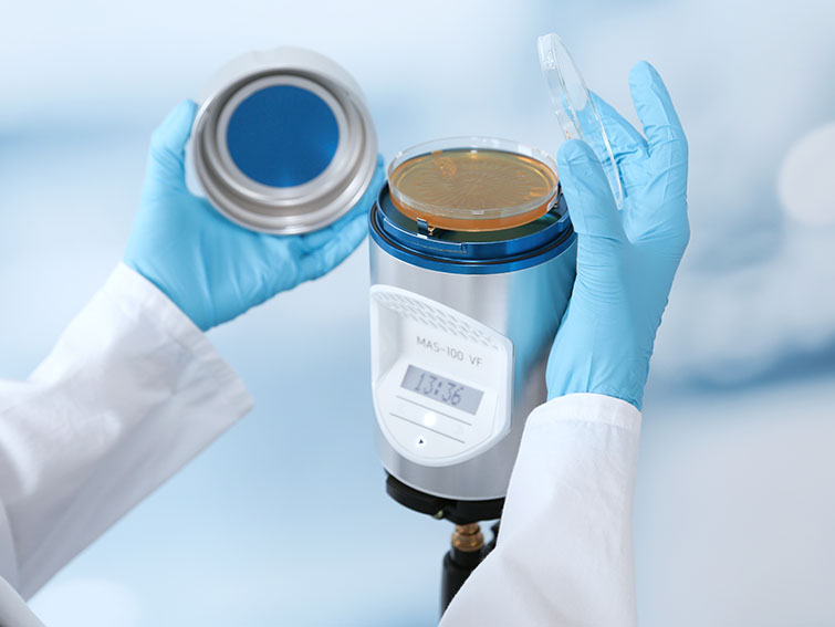 Keimsammler MAS-100 VF