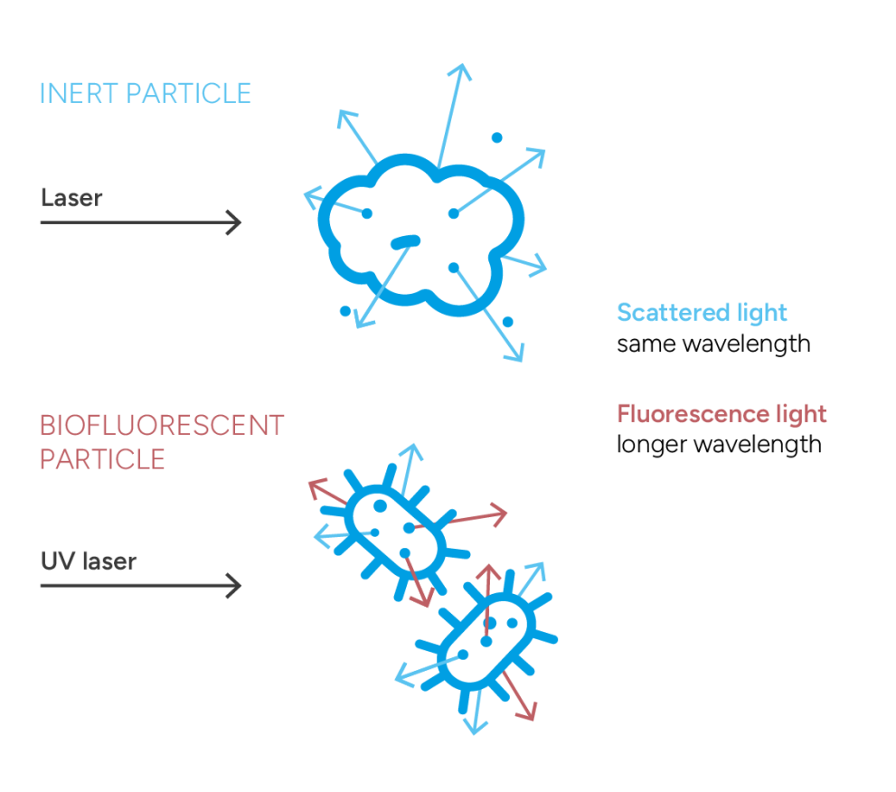 Technology BFPC